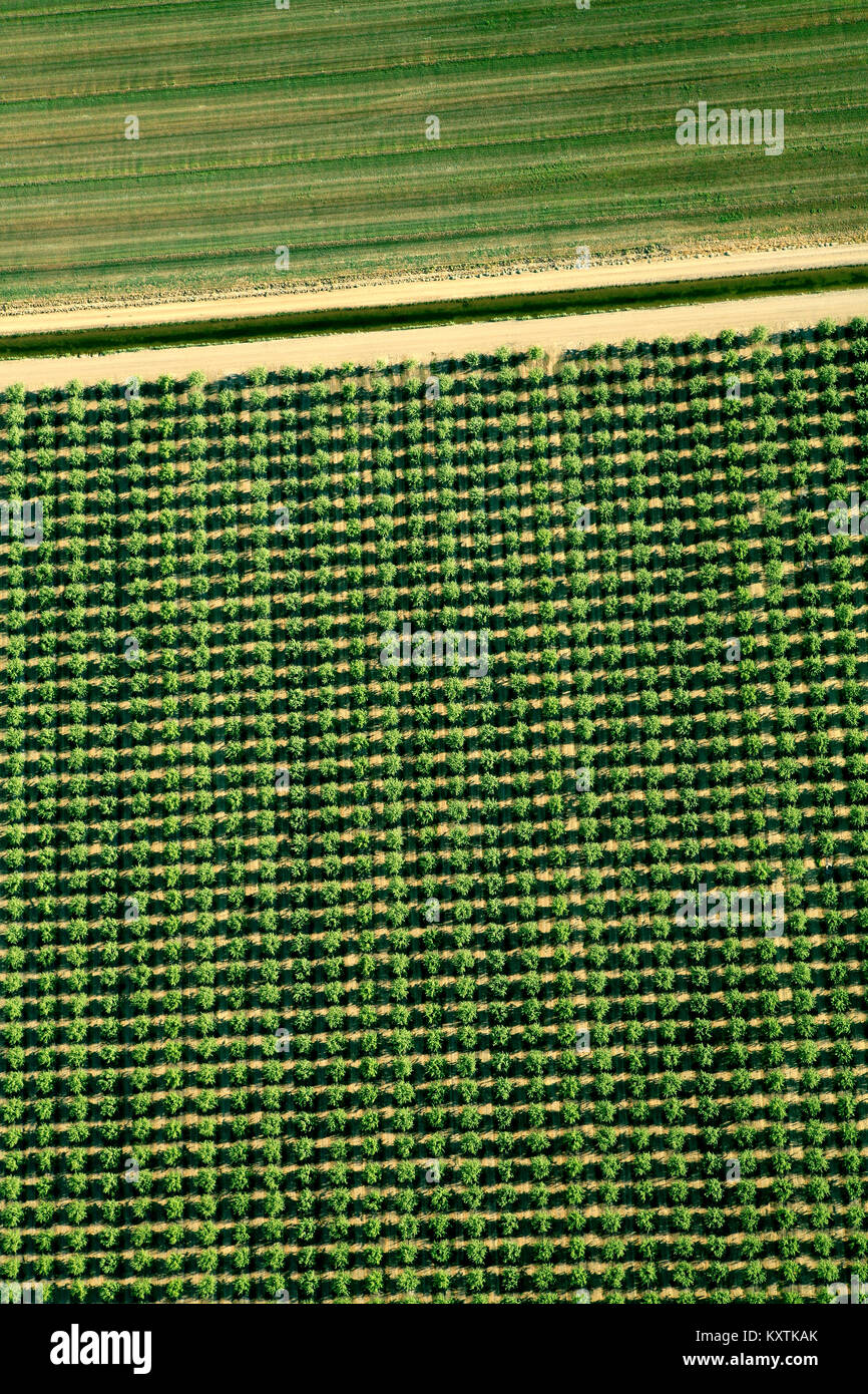 Aerial photograph over farm land in Napa Valley with farmers working. graphic lines interesting angles green and beige colours Stock Photo