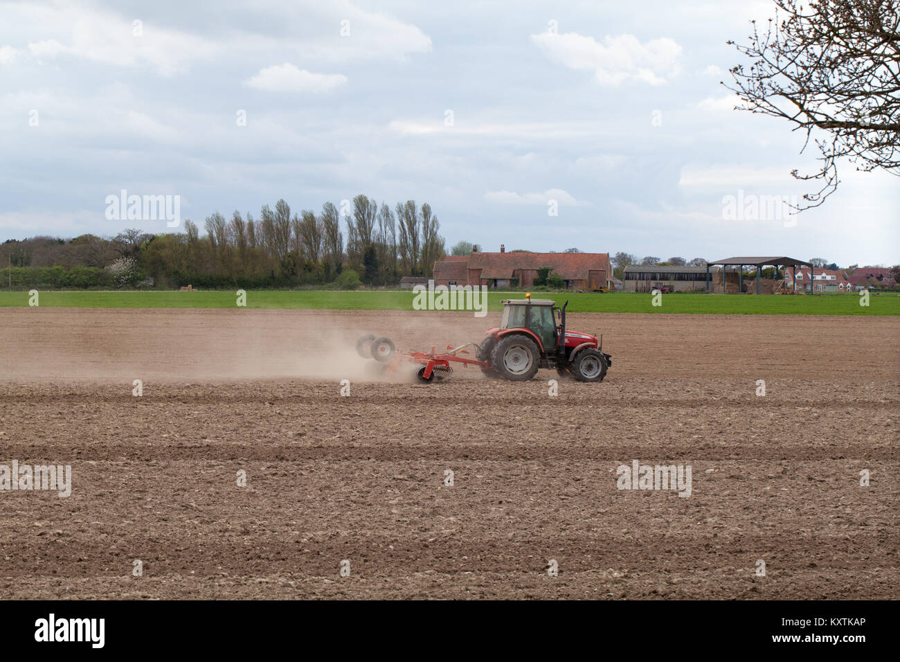 Top soil in dry weather, being disturbed by wind as a tractor drawn disc harrow works its way to and fro across an arable field. ingham. Norfolk. UK. Stock Photo