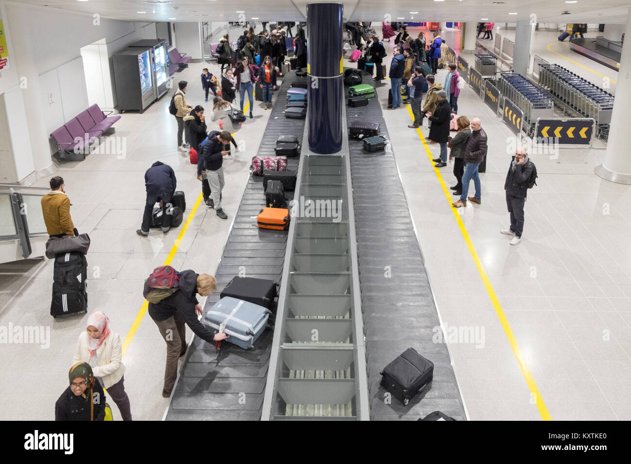 conveyor,belt,terminal,Carousel,luggage,baggage,bag,bags,hold,pick,up