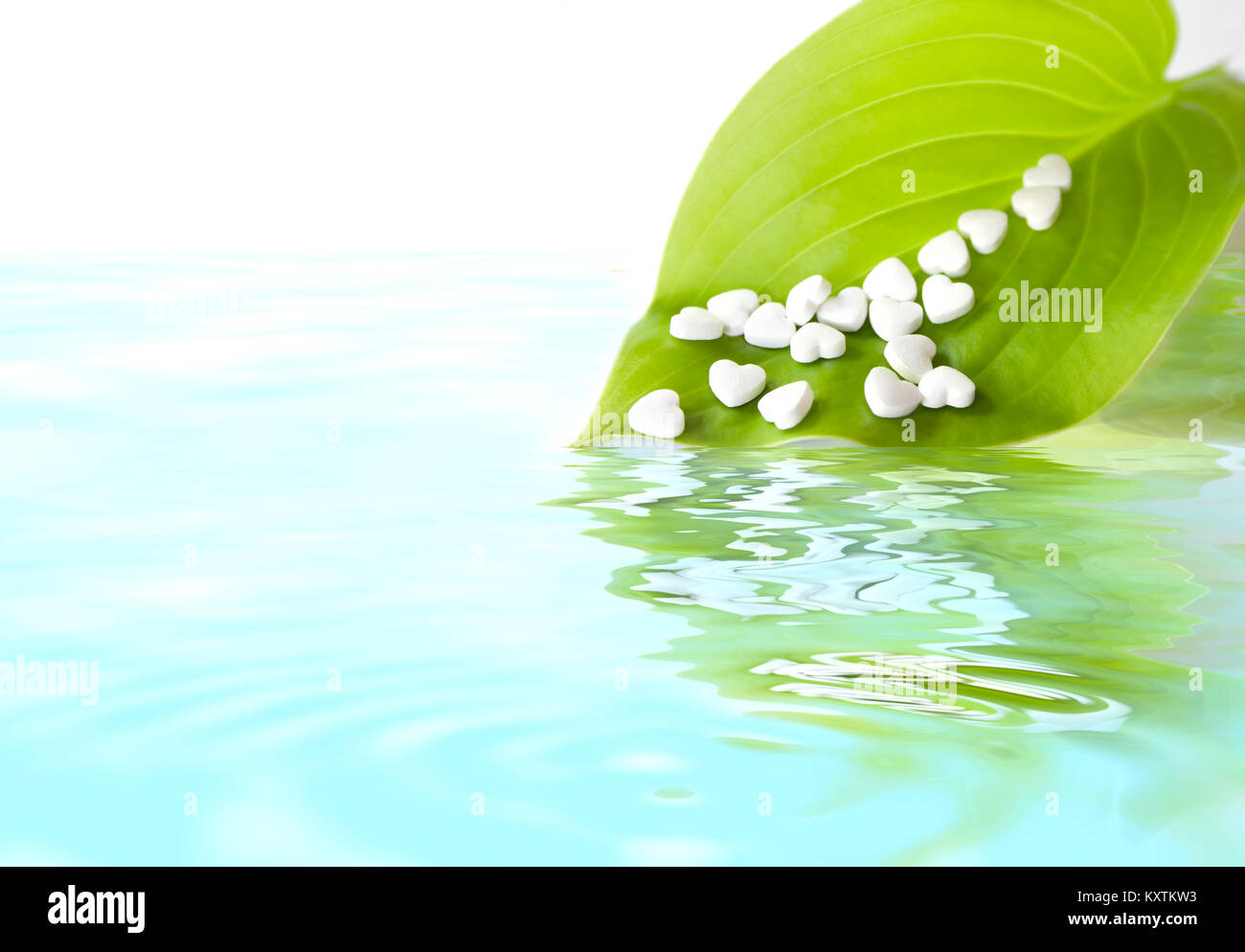 White medical cardiological pills in the form of heart on a green leaf. The drug for restoring health. With space for text. With reflection in water Stock Photo