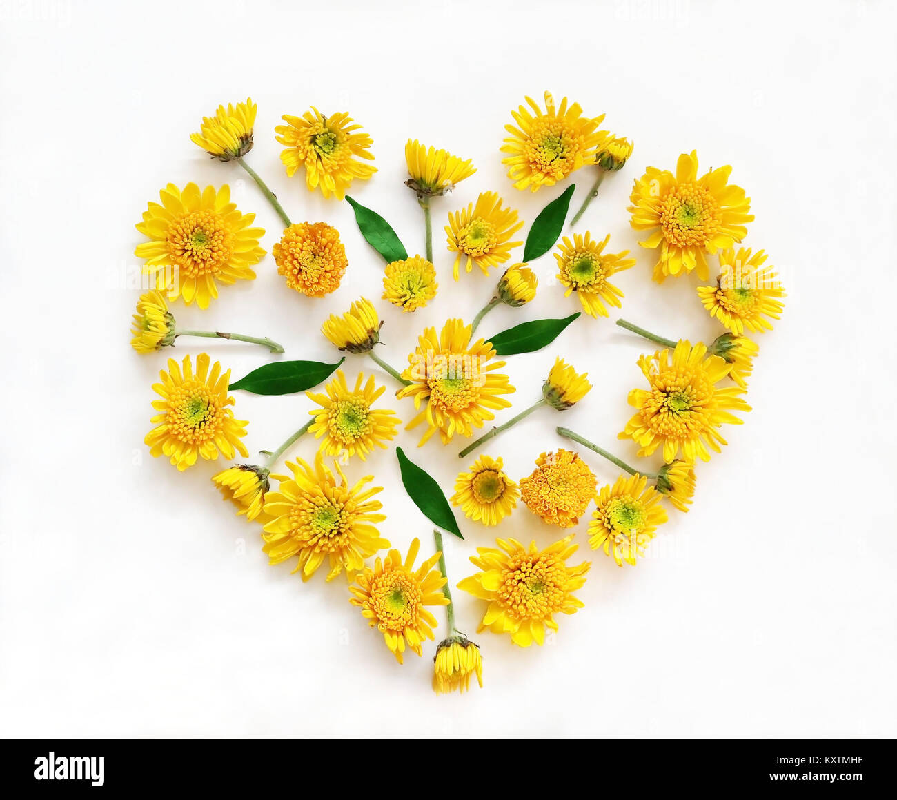 Flowers composition in shape of heart made of yellow flowers on white  background. Spring, summer, easter concept. Flat lay, top view Stock Photo  - Alamy