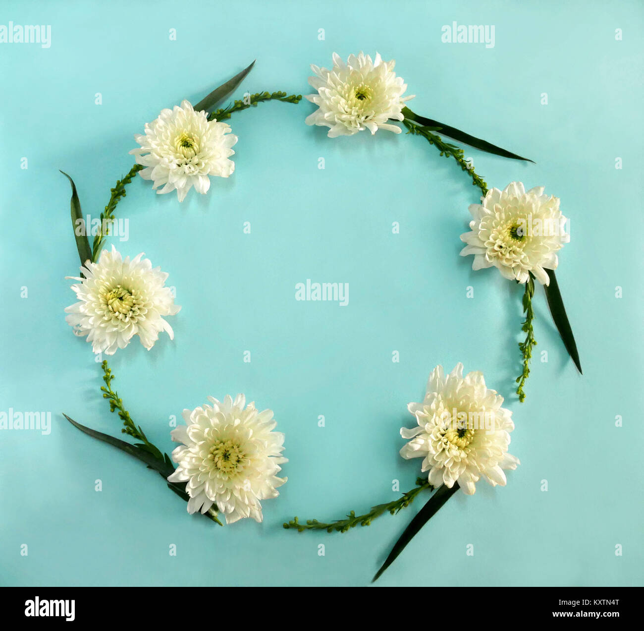 Flower round frame wreath made of white flowers on blue background. Flat lay, top view Stock