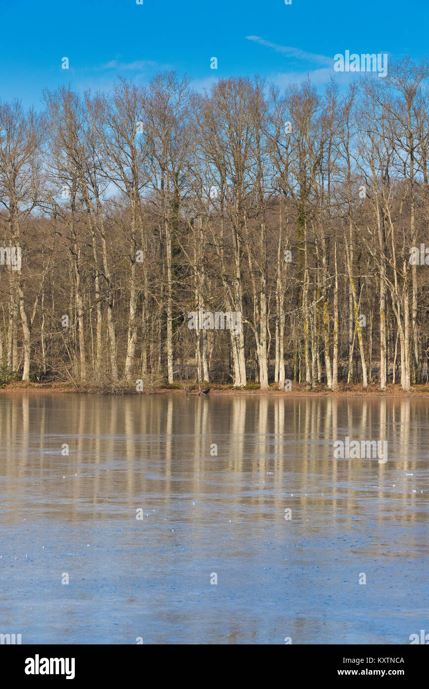 Frozen lake during the winter in Loiret, France Stock Photo