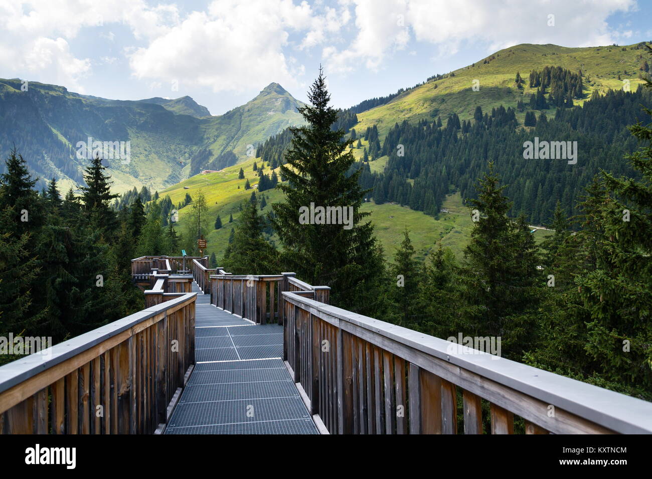 Tree-top walk in Saalbach-Hinterglemm valley, Alps Mountains, Austria, summer day Stock Photo