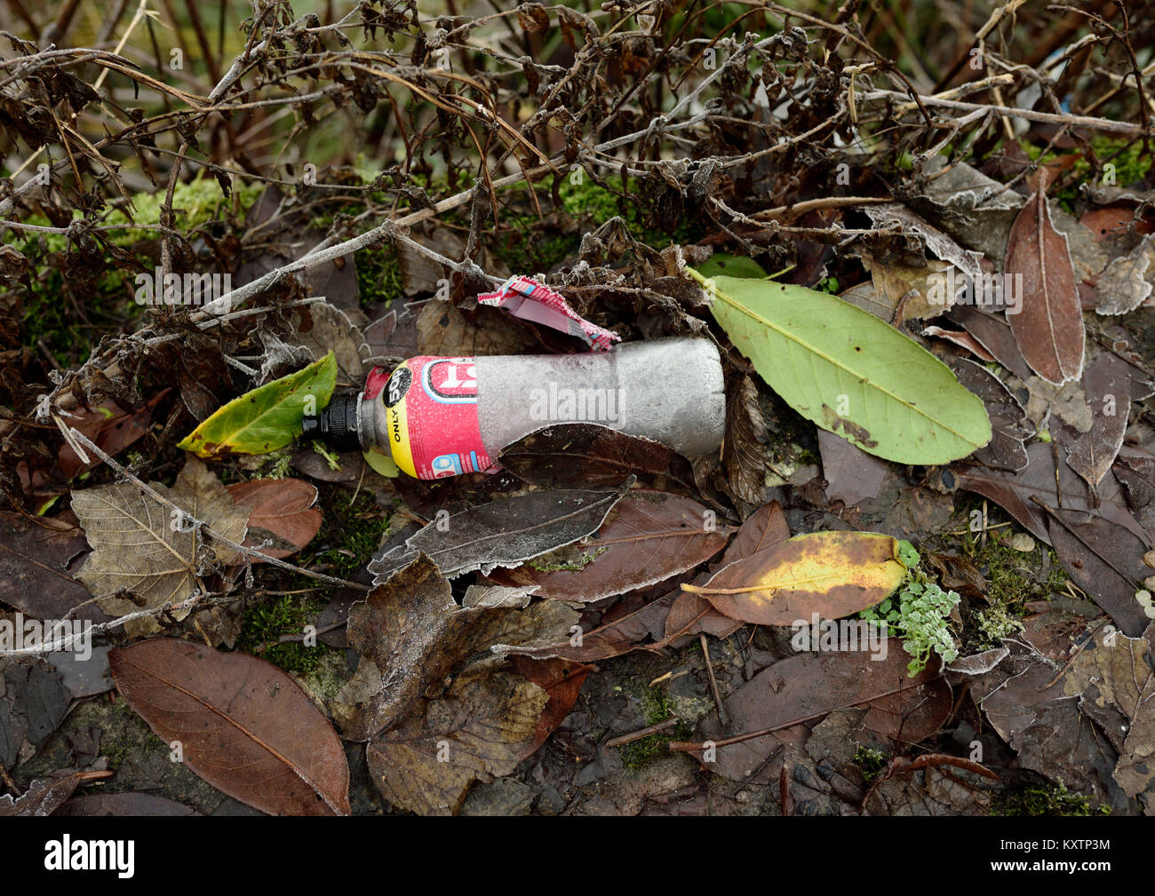 Plastic bottle rubbish away surrounded by rotting leaves and vegetation
