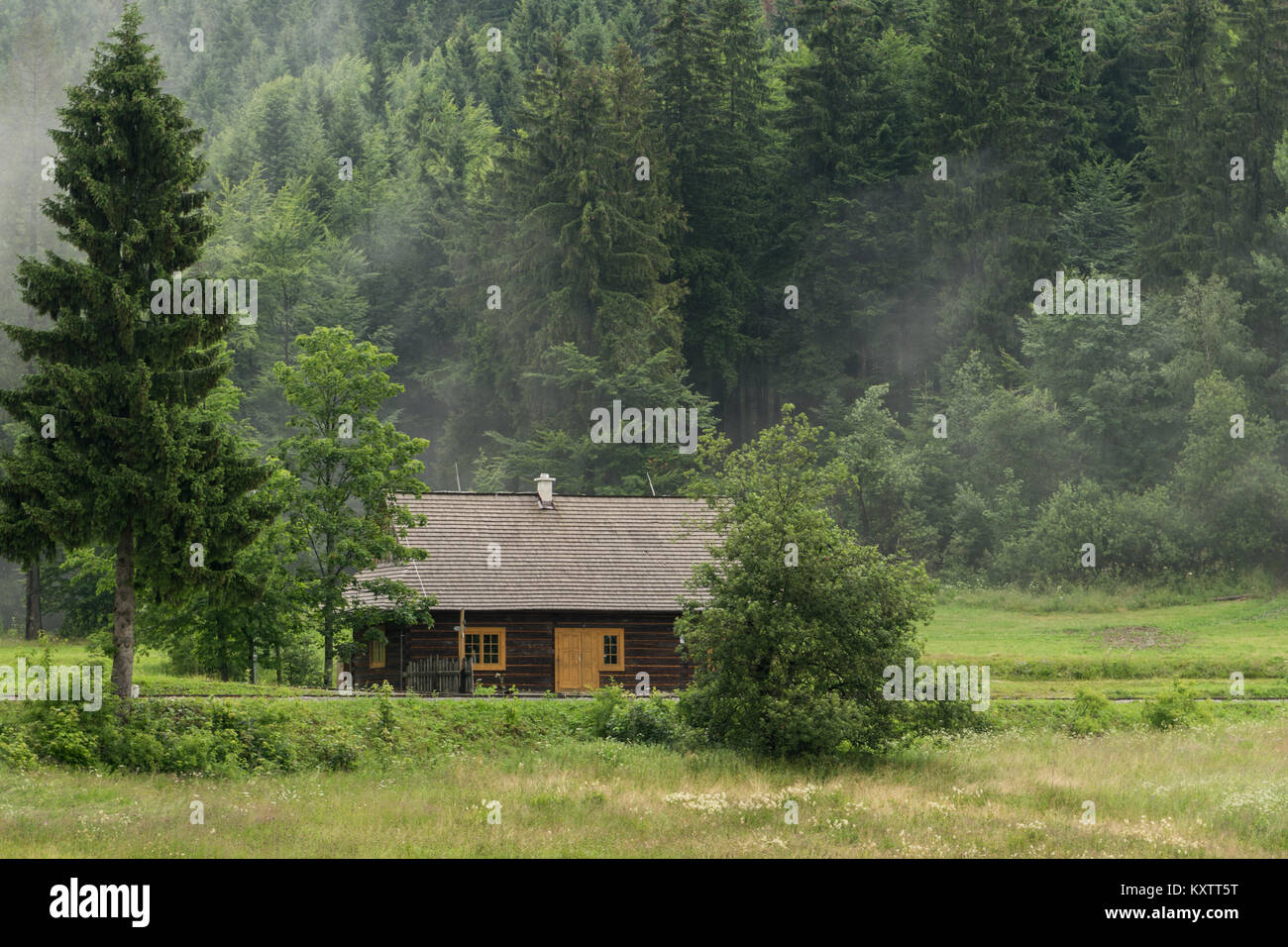 Little cabin in the misty woods Stock Photo