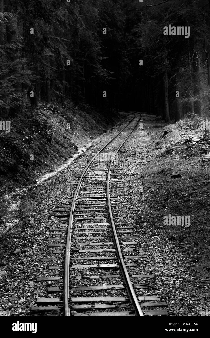 Old railroad leading through forest Stock Photo