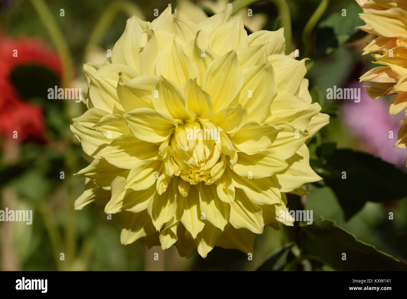 Love for the countryside hi-res stock photography and images - Alamy