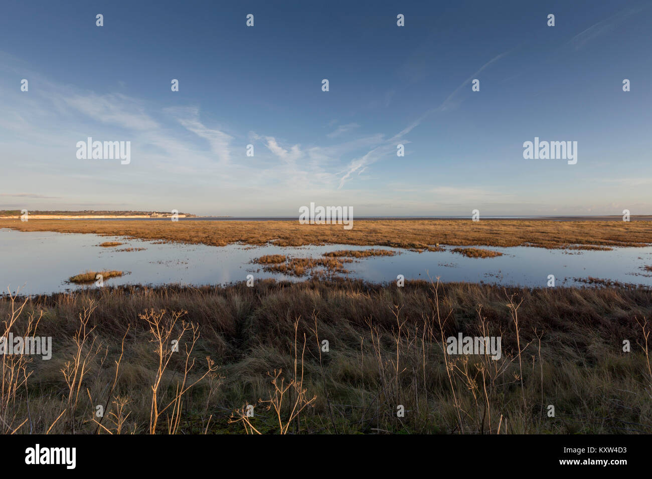 View across the Kent Wildlife Trust National Nature Reserve at Pegwell Bay, Kent. Stock Photo