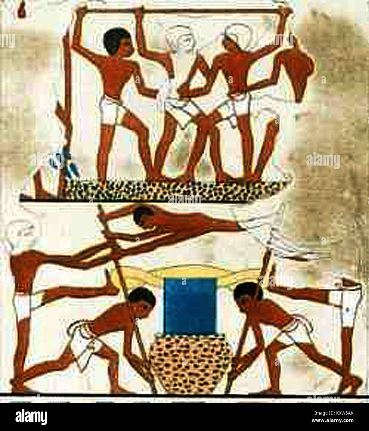 A historical image showing the traditional methods of treading and ...