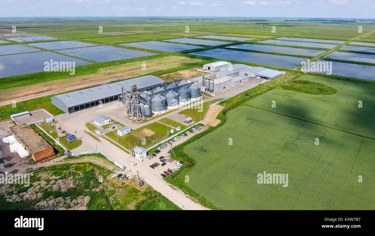 Plant for the drying and storage of grain. Rice plant in the middle of ...