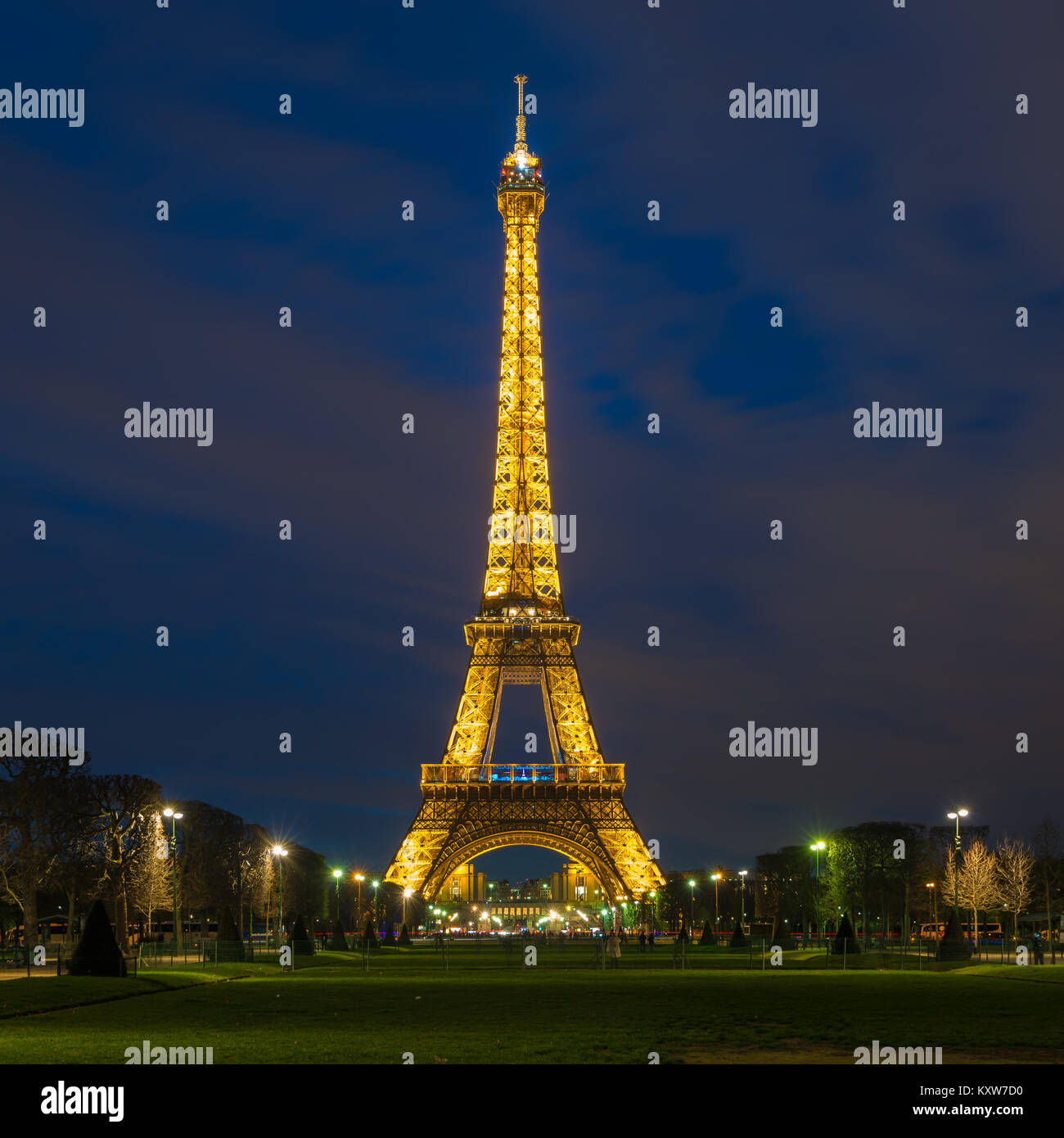 My Image 6
