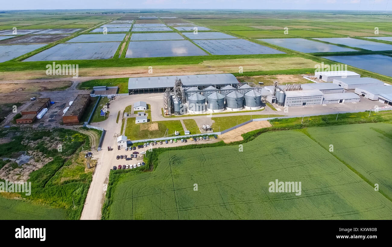 Plant for the drying and storage of grain. Rice plant in the middle of ...