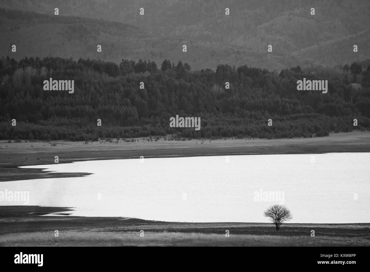 tree near a dam, minimal black and white art landscape, nature background Stock Photo