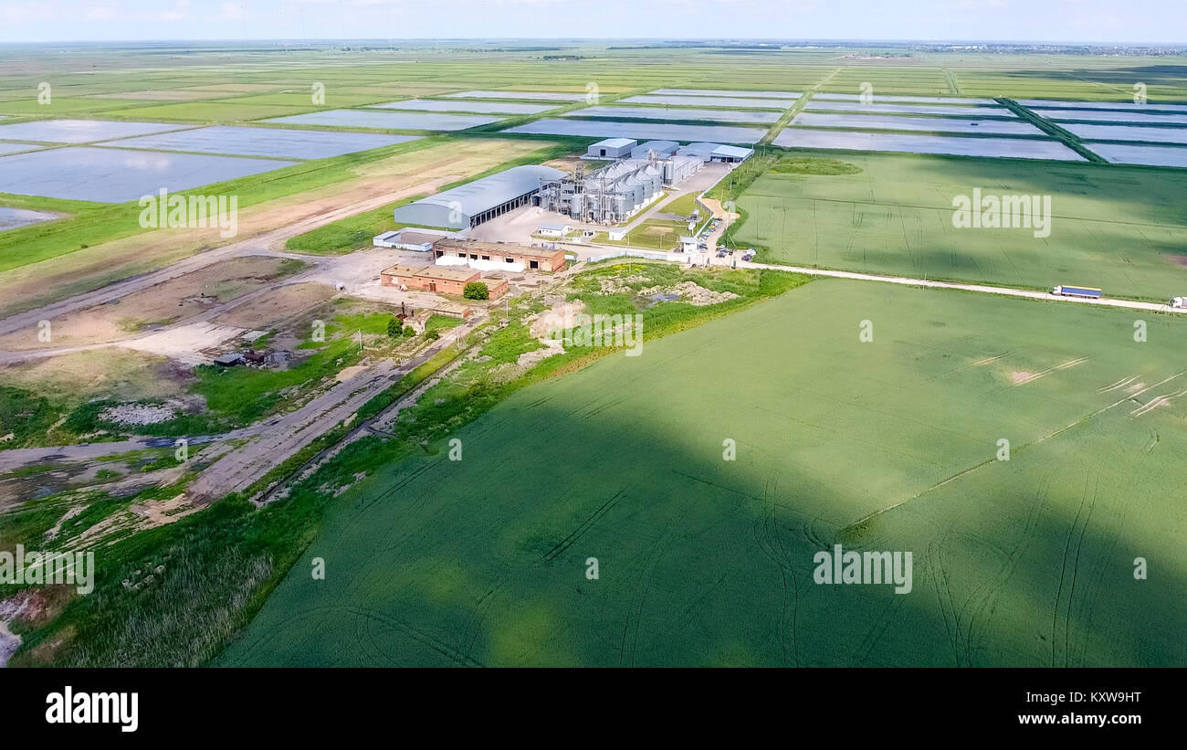 Plant for the drying and storage of grain. Rice plant in the middle of ...