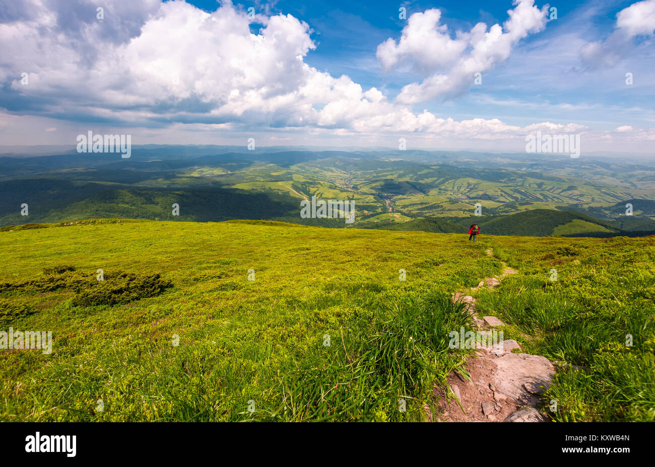 grassy slope of Pikui mountain in summer time. beautiful landscape of Carpathian mountains. Valley with rolling hill view from above Stock Photo