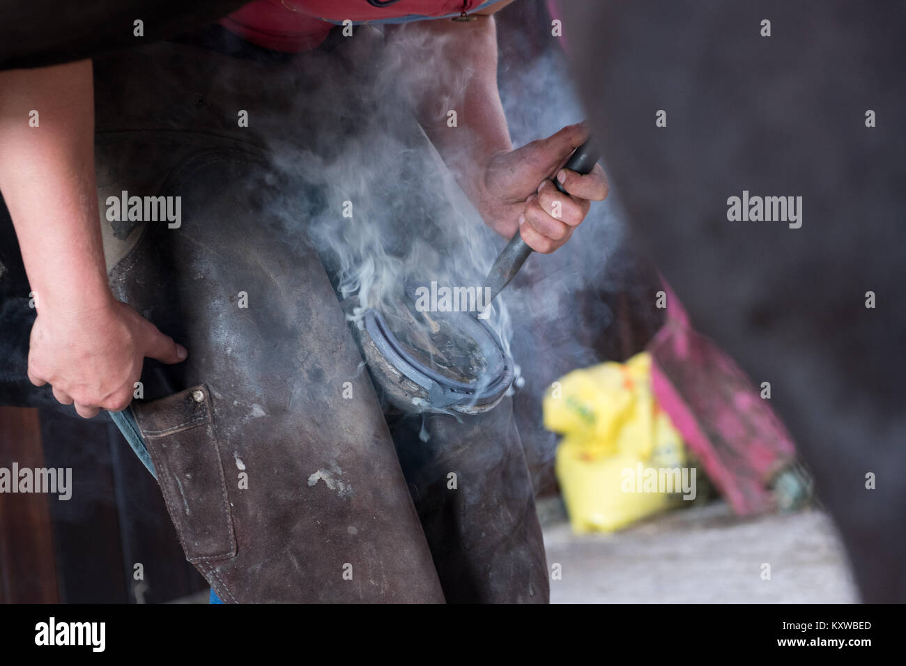Farrier hot shoeing a horse, North Yorkshire, UK. Stock Photo