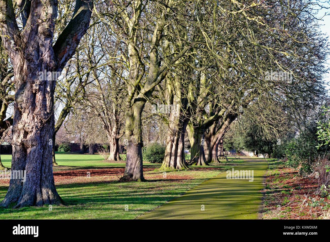 Cigarette Island park East Molesey Surrey Great London England UK Stock  Photo