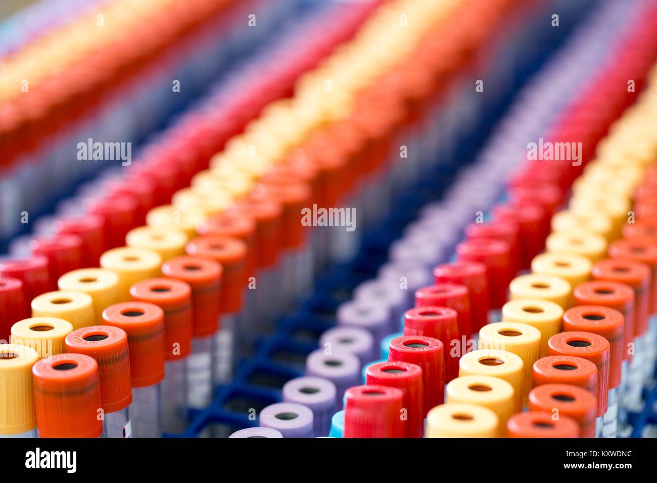 BERLIN, GERMANY June 06, 2016 BD Vacutainer blood collection tubes