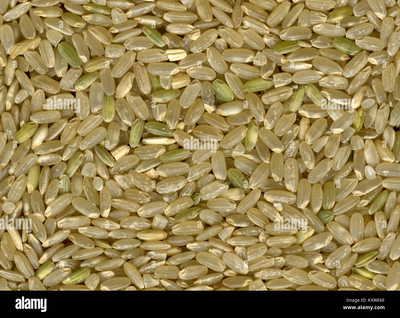 Raw brown rice close up Stock Photo