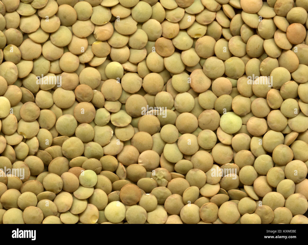Lentils close up Stock Photo