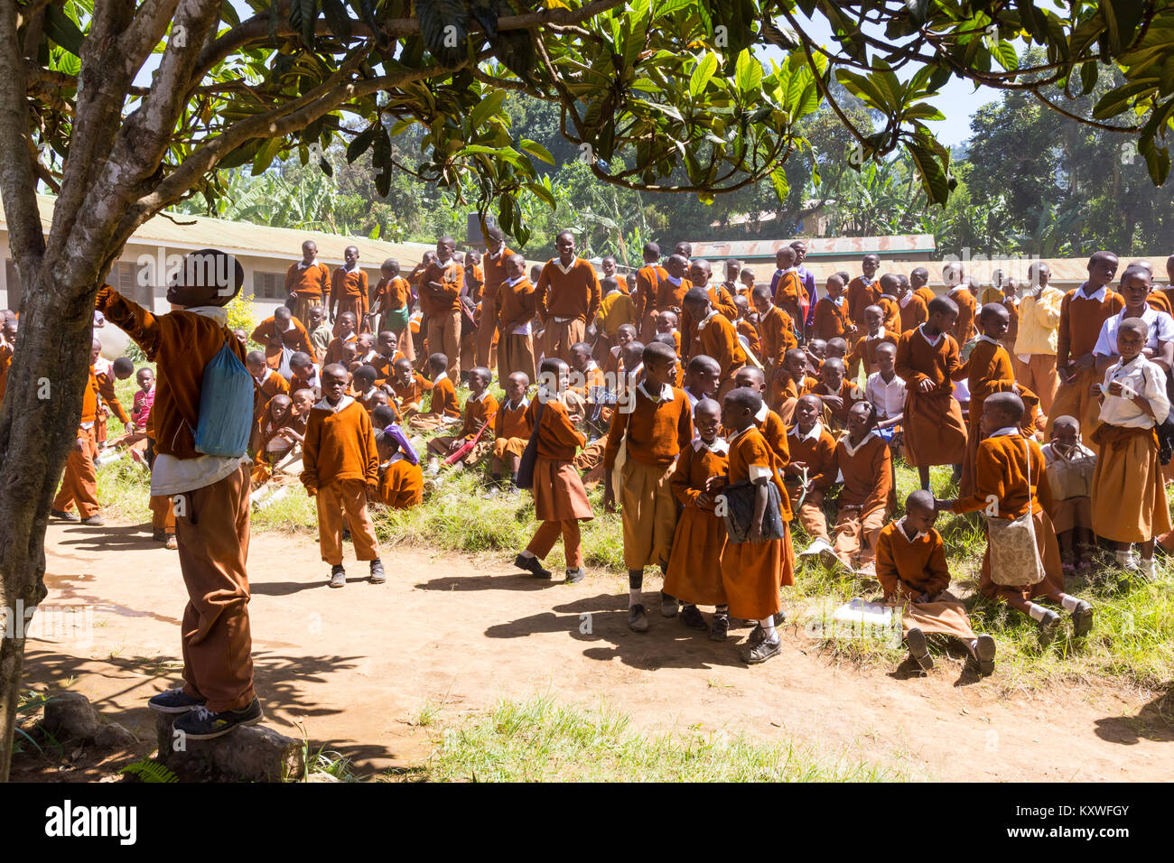 Children in uniforms playing in the cortyard of primary school in rural area near Arusha, Tanzania, Africa. Stock Photo