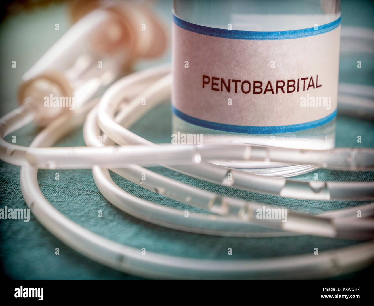Vial With Pentobarbital Used For Euthanasia And Lethal Inyecion In A Hospital Stock Photo