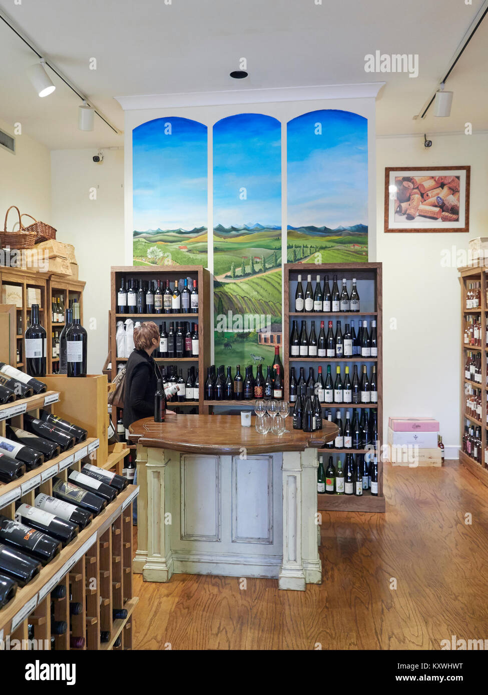 Mature or middle aged woman shops for wine in a wine shop with shelves full of different varieties of red and white wine for sale. Stock Photo