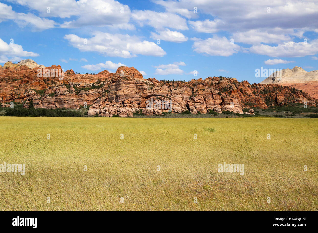 A scene from the Kolob Terrace Road on the west side of Zion National
