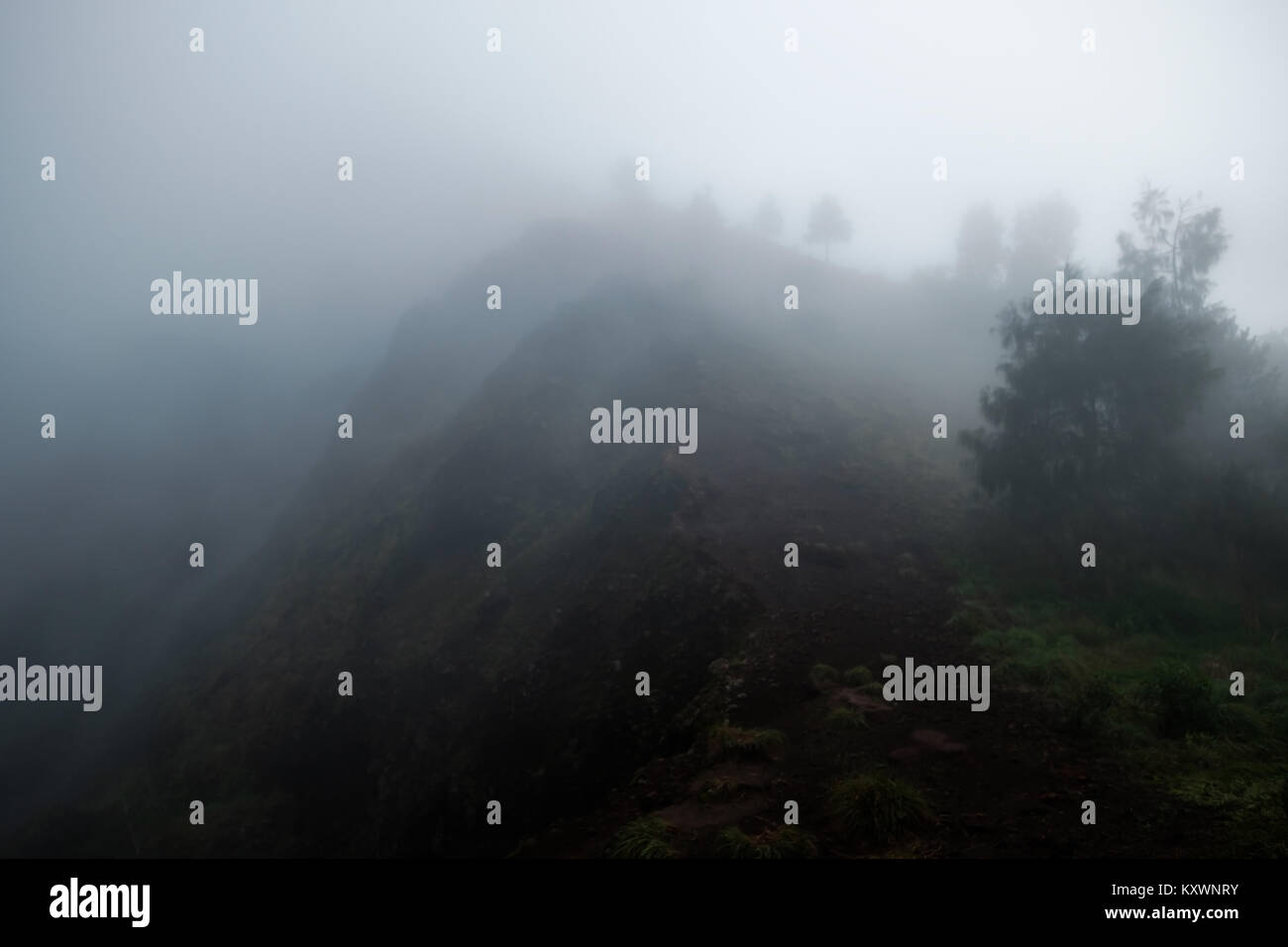 Foggy daybreak hi-res stock photography and images - Alamy