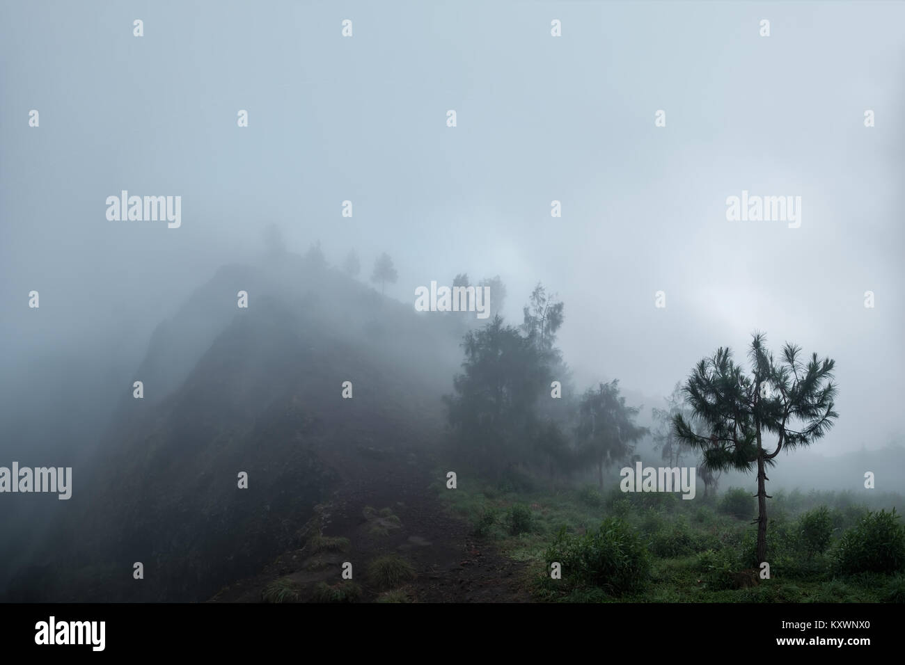 Foggy view stone peak hi-res stock photography and images - Alamy