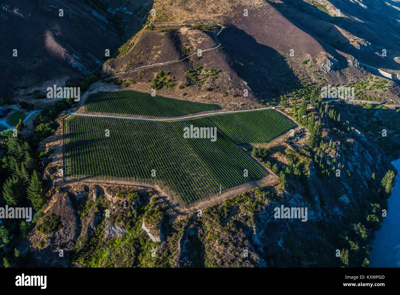 vineyards in the Kawarau River Valley, New Zealand Stock Photo