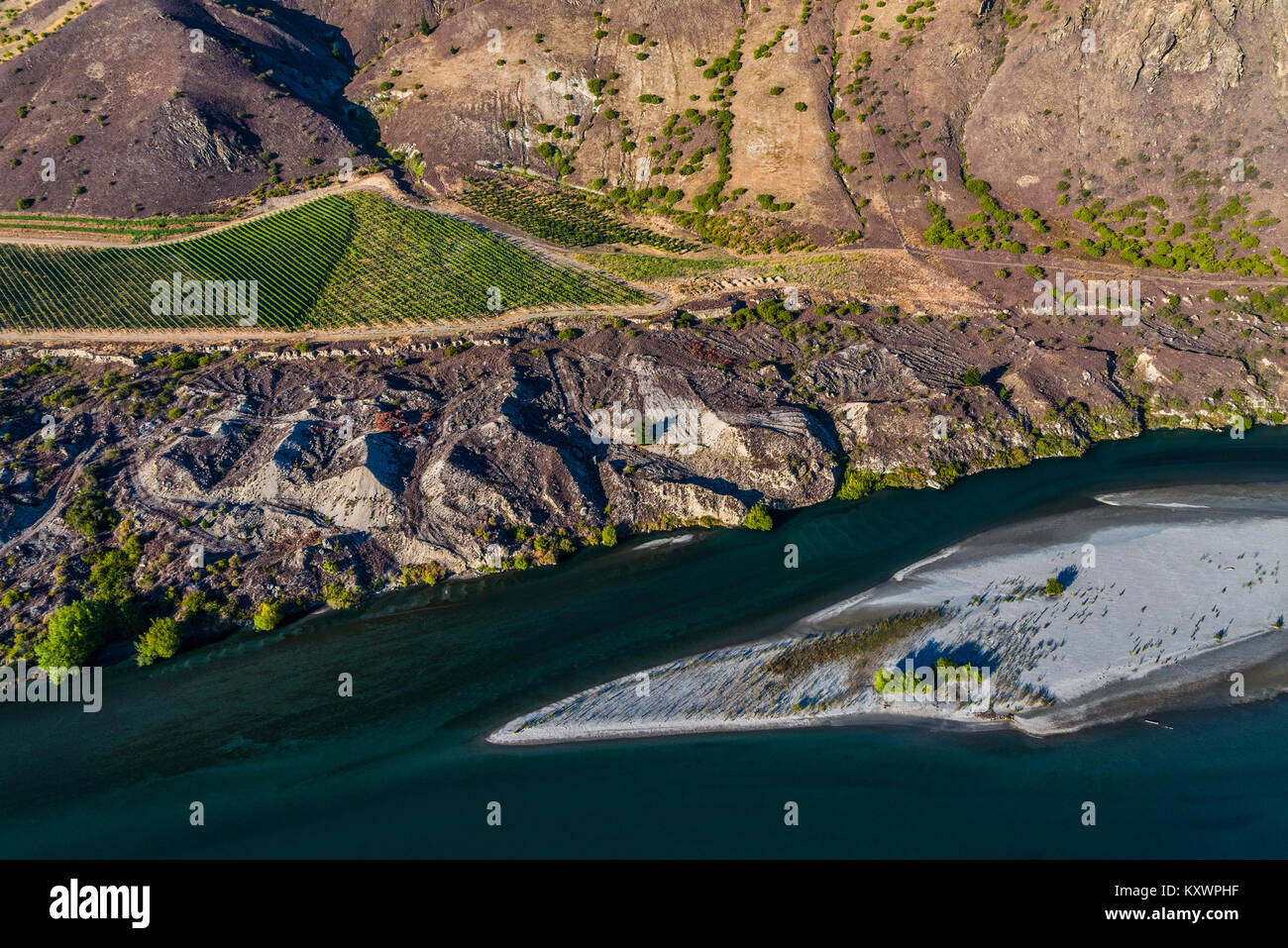 vineyards in the Kawarau River Valley, New Zealand Stock Photo