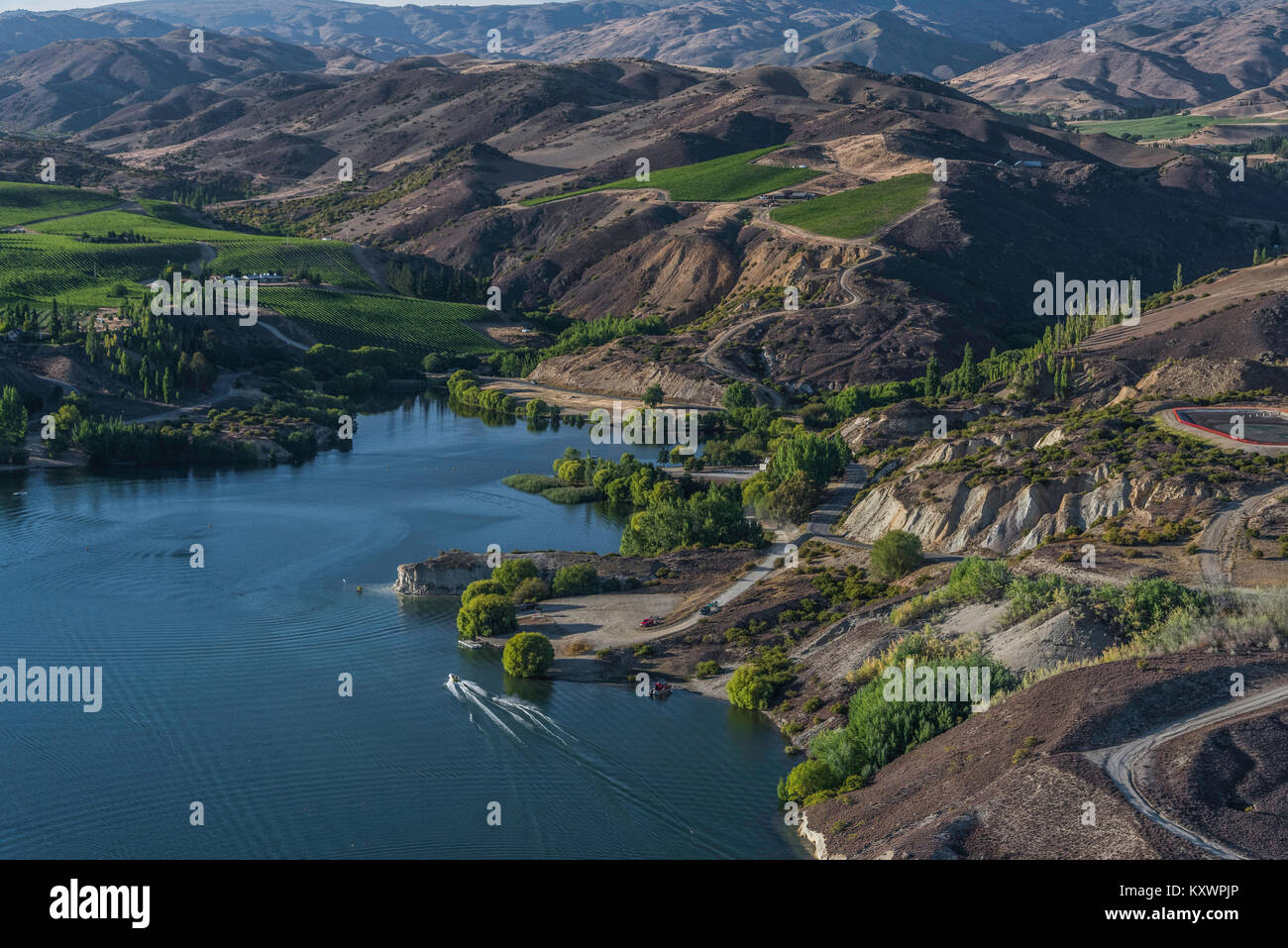 vineyards in the Kawarau River Valley, New Zealand Stock Photo