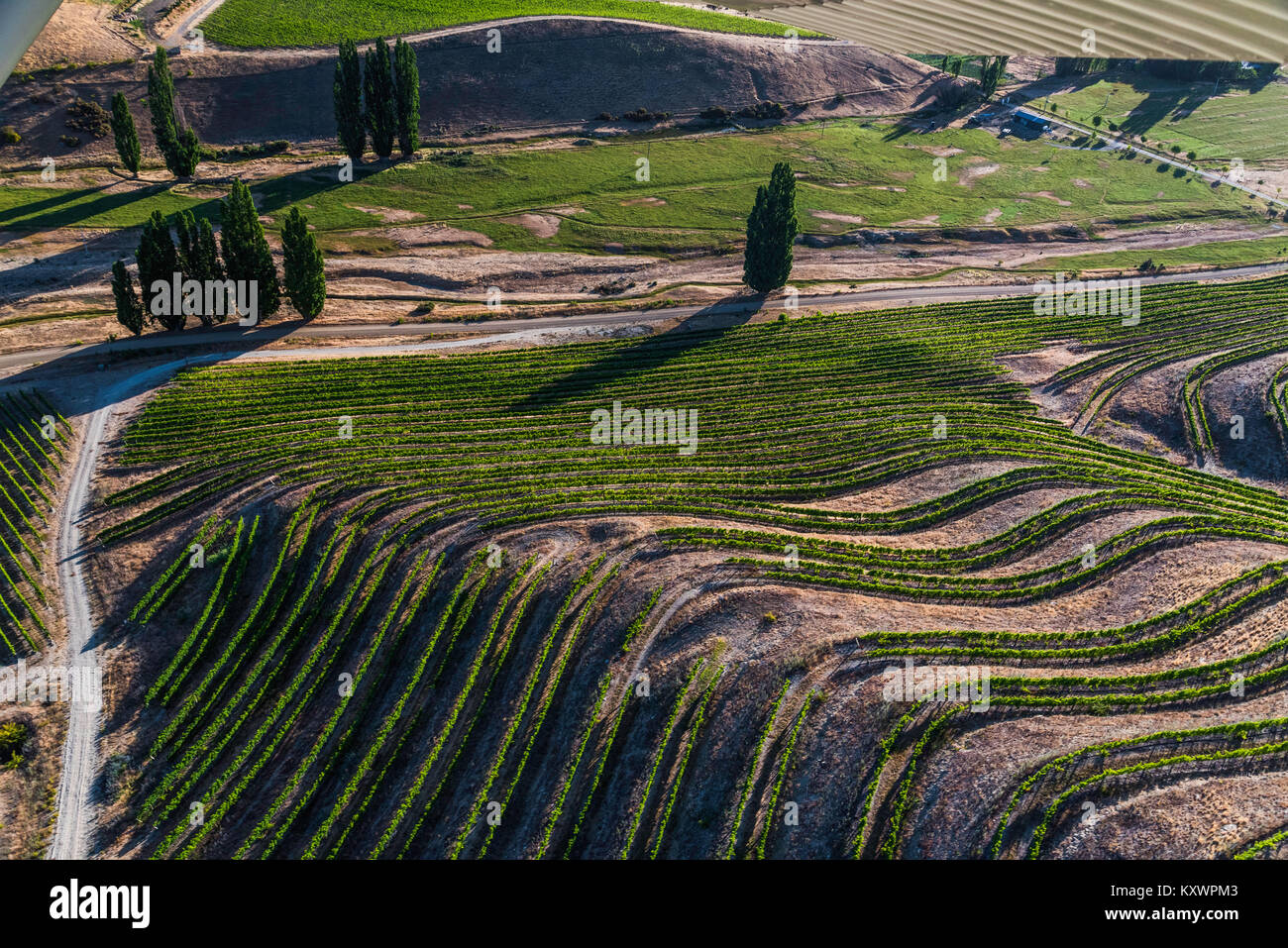 25 Steps Vineyard, Mount Pisa, New Zealand Stock Photo