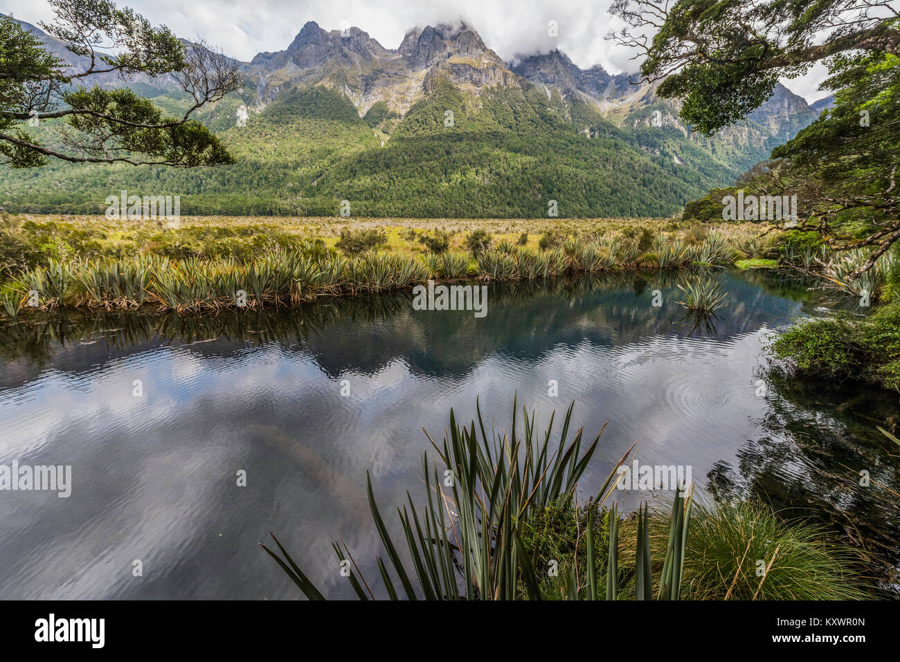 Mirror Lake near Te Anau, New Zealand Stock Photo