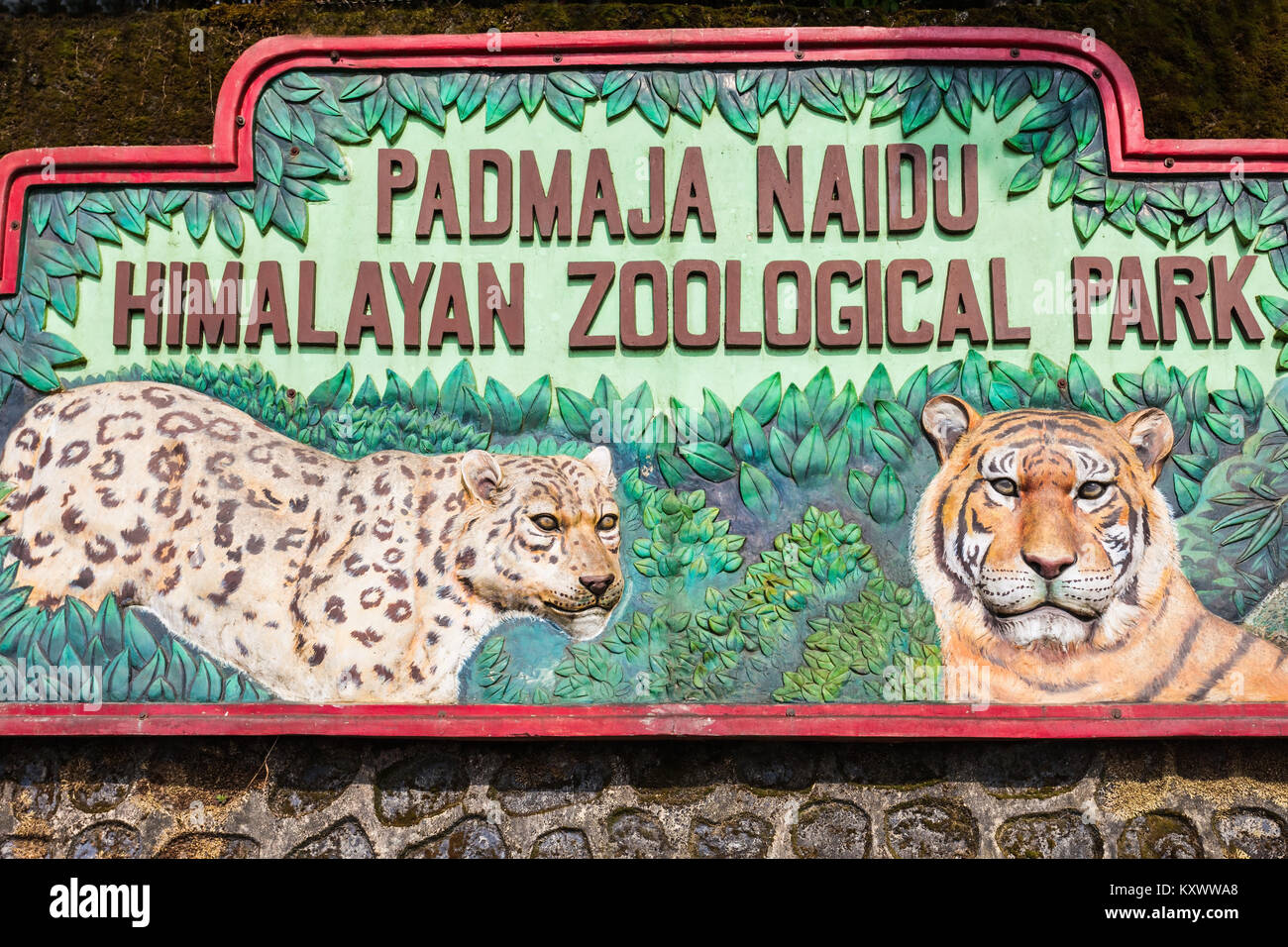 Padmaja naidu himalayan zoological park hi-res stock photography and images  - Alamy