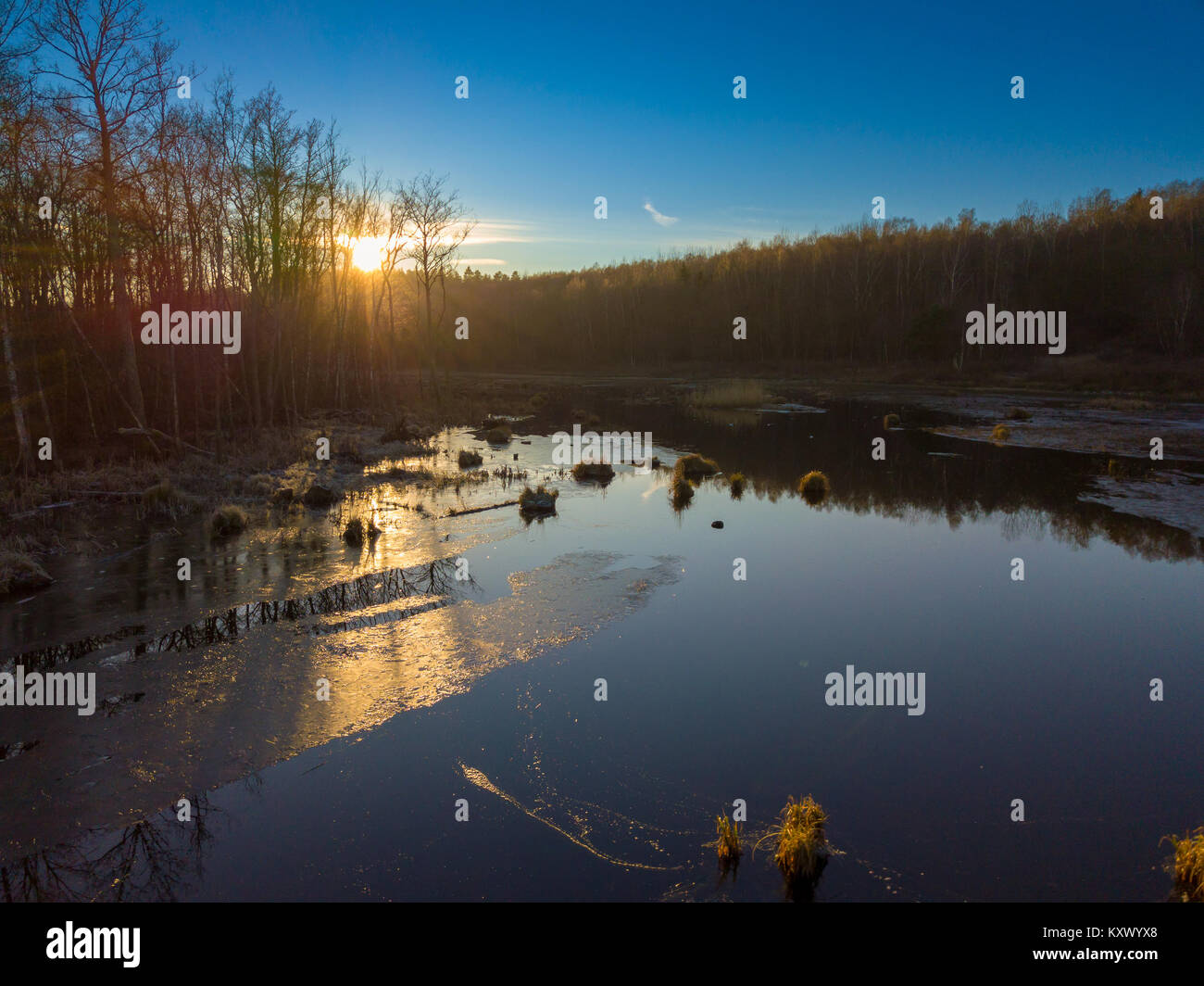 Lake forest drone hi-res stock photography and images - Alamy
