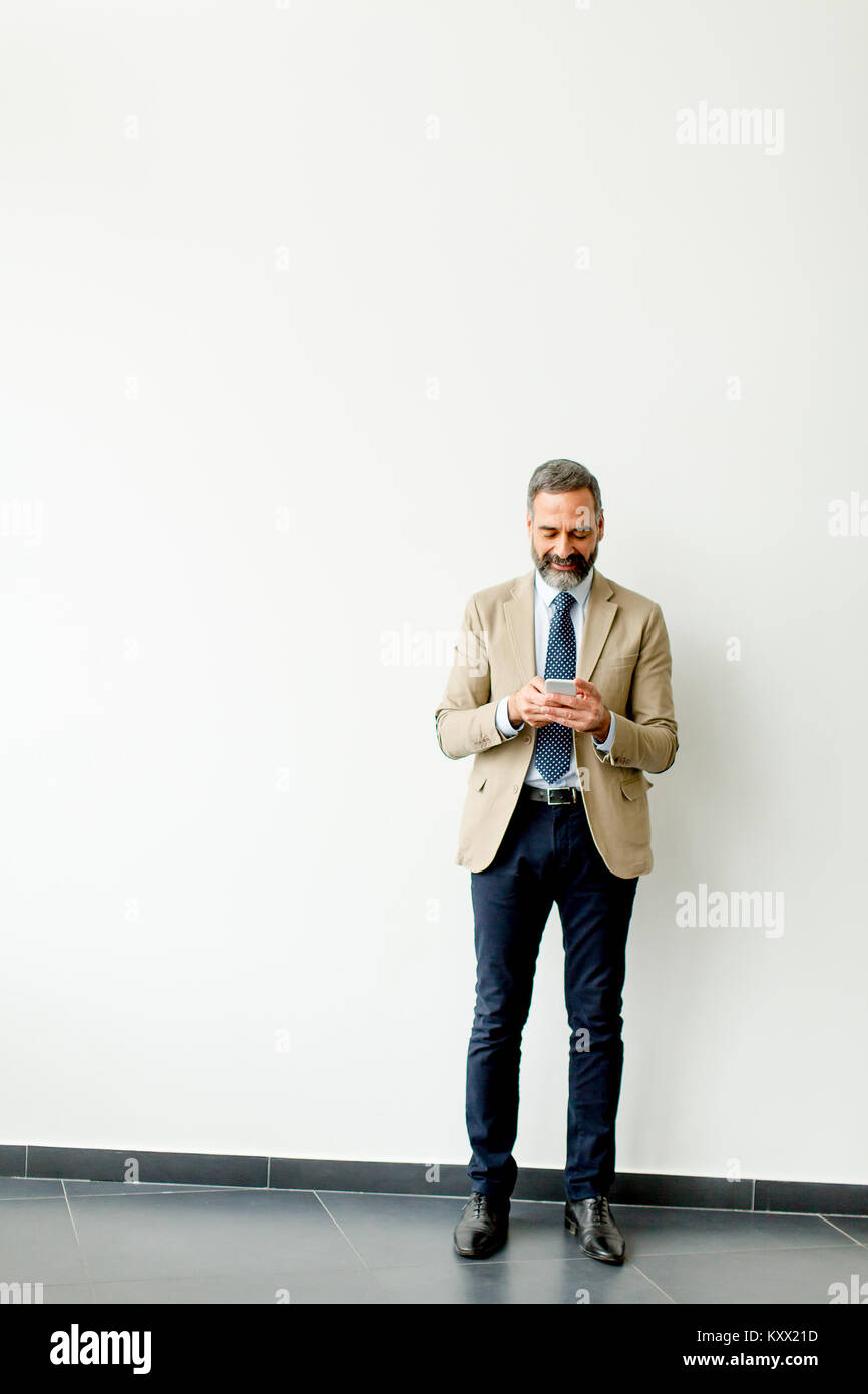Handsome mature businessman using mobile phone in the office Stock ...
