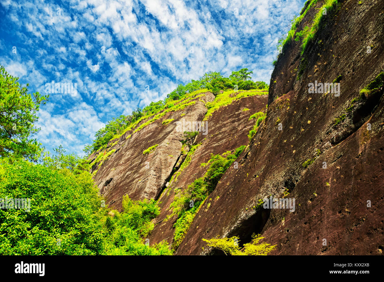Rocky cliffs rising above the dahongpao cha, big red robe tea, area of ...