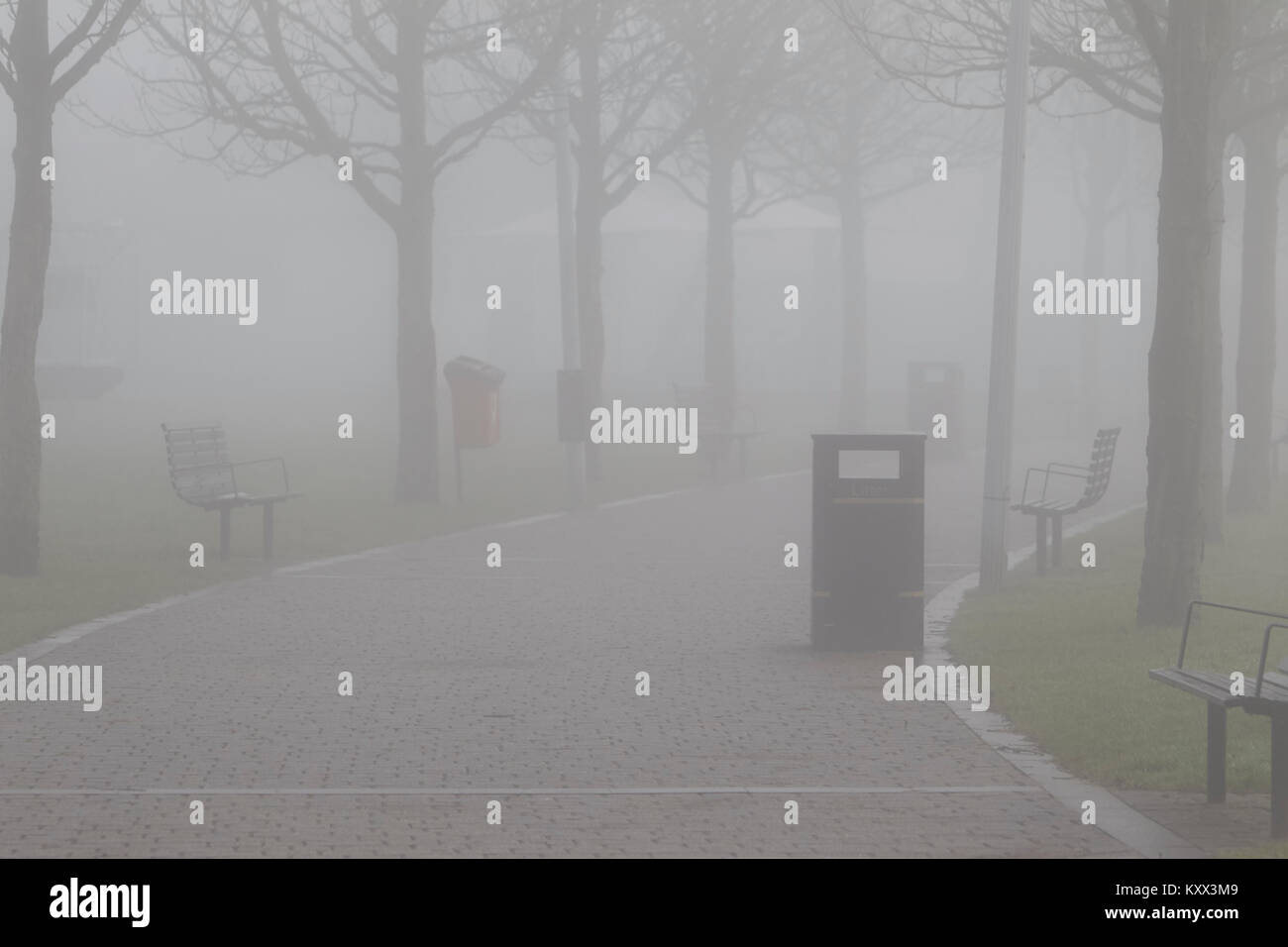park footpath on a foggy day in the uk Stock Photo
