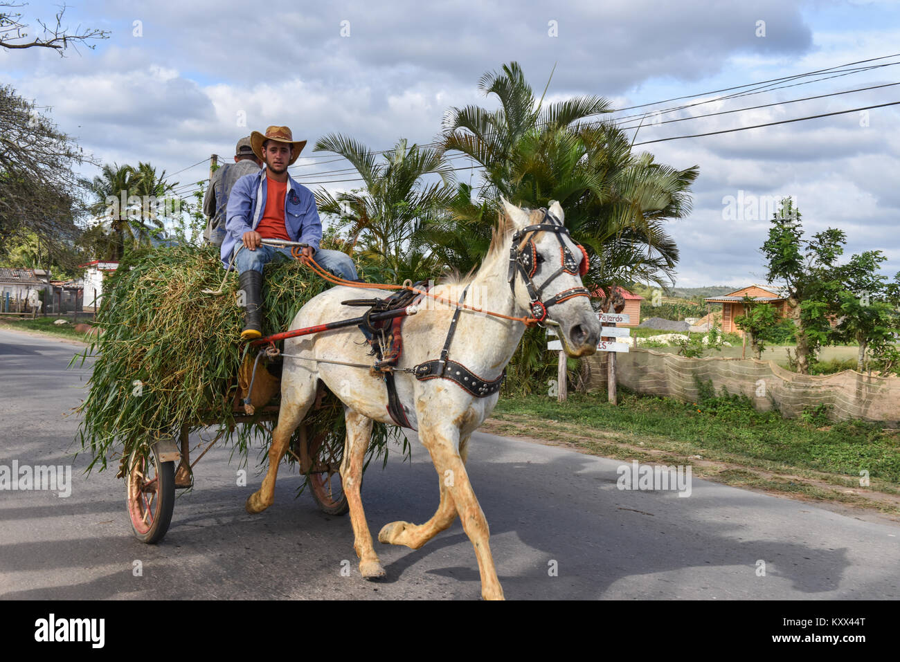 Pinar Del Rio, Cuba Stock Photo - Alamy