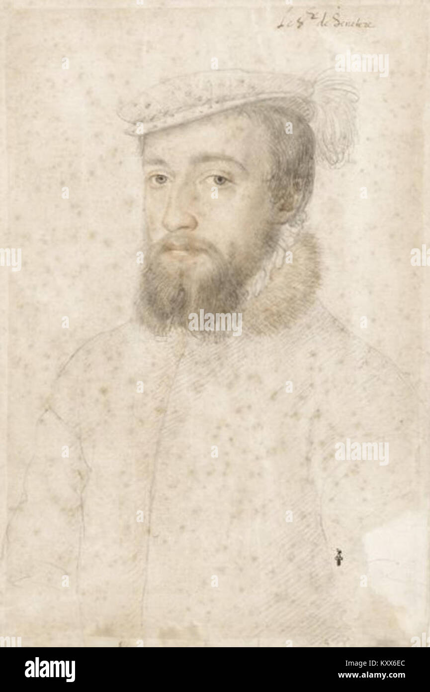 François de SaintNectaire Stock Photo Alamy