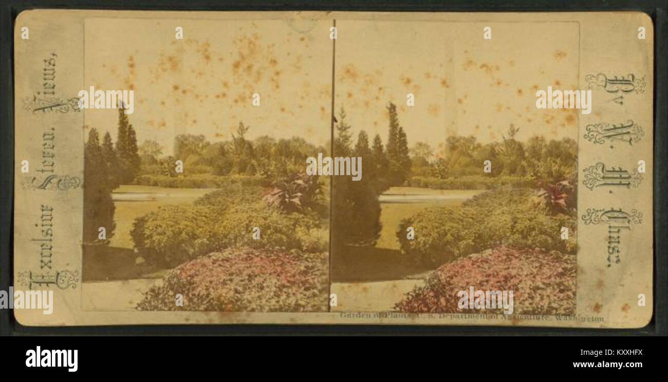Garden of Plants, U.S. Department of Agriculture, Washington, from Robert N. Dennis collection of stereoscopic views Stock Photo
