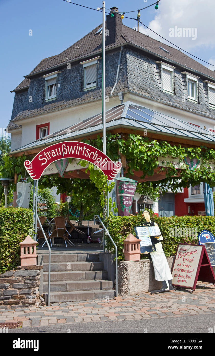 Strausswirtschaft at Neumagen-Dhron, Neumagen-Dhron is the oldest wine village of Germany, Moselle river, Rhineland-Palatinate, Germany, Europe Stock Photo