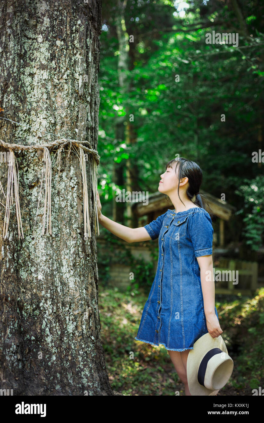 Young woman wearing blue dress touching shimenawa ropes on tree at