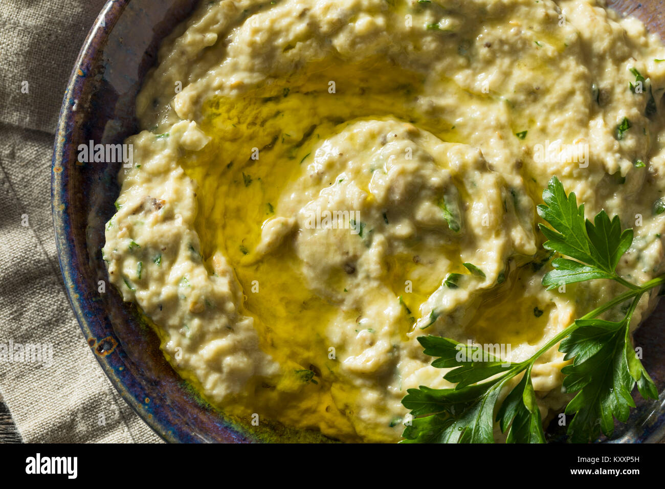 Savory Homemade Mediterranean Baba Ganoush with Olive OIl and Parsley Stock Photo