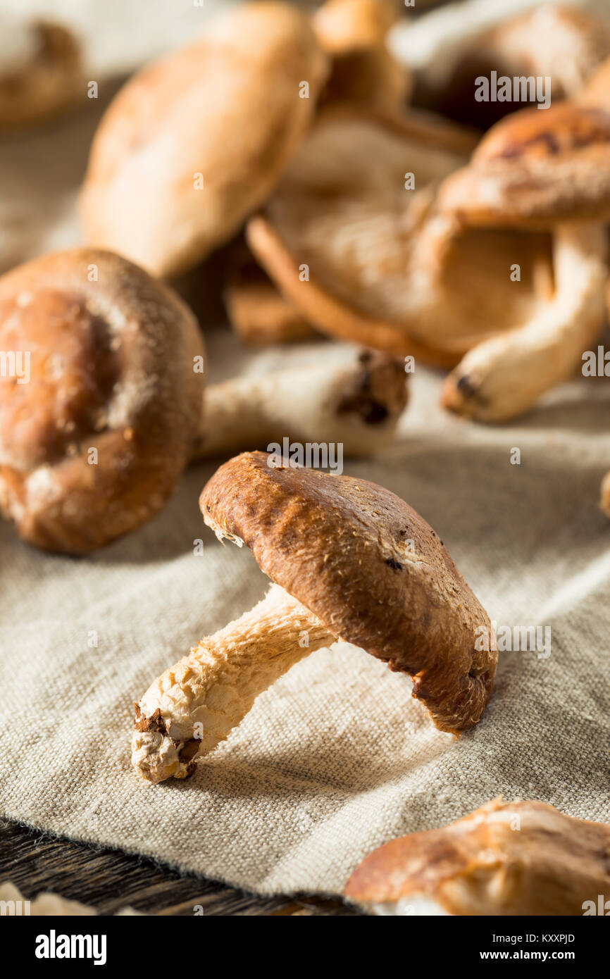 Healthy Organic Fresh Shiitake Mushrooms Ready to Cook Stock Photo Alamy
