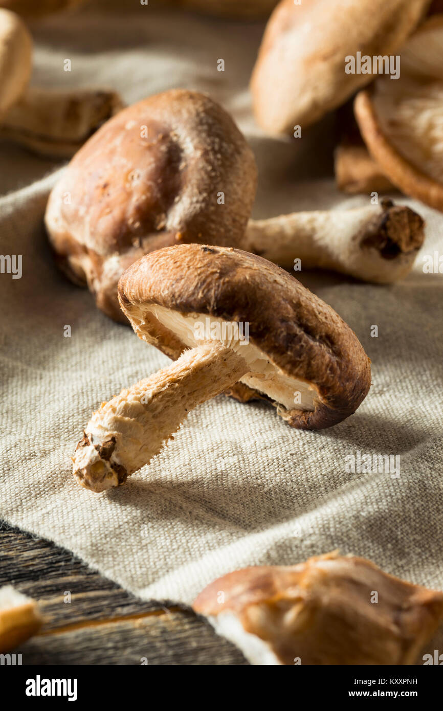 Fresh shiitake mushrooms hires stock photography and images Alamy