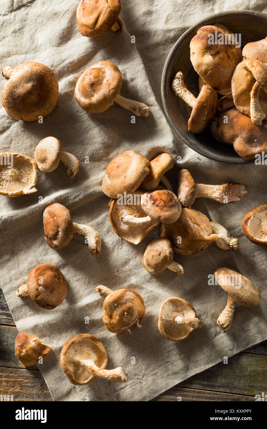 Fresh shiitake mushrooms hires stock photography and images Alamy